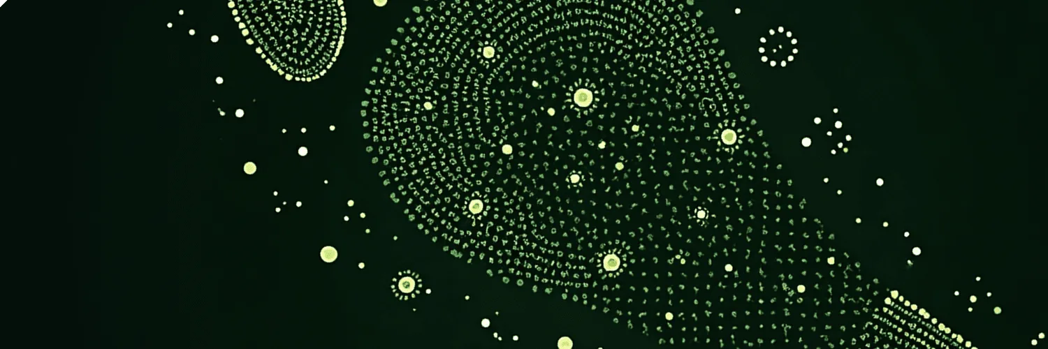 Trail of data points mapped by digital footprint analysis