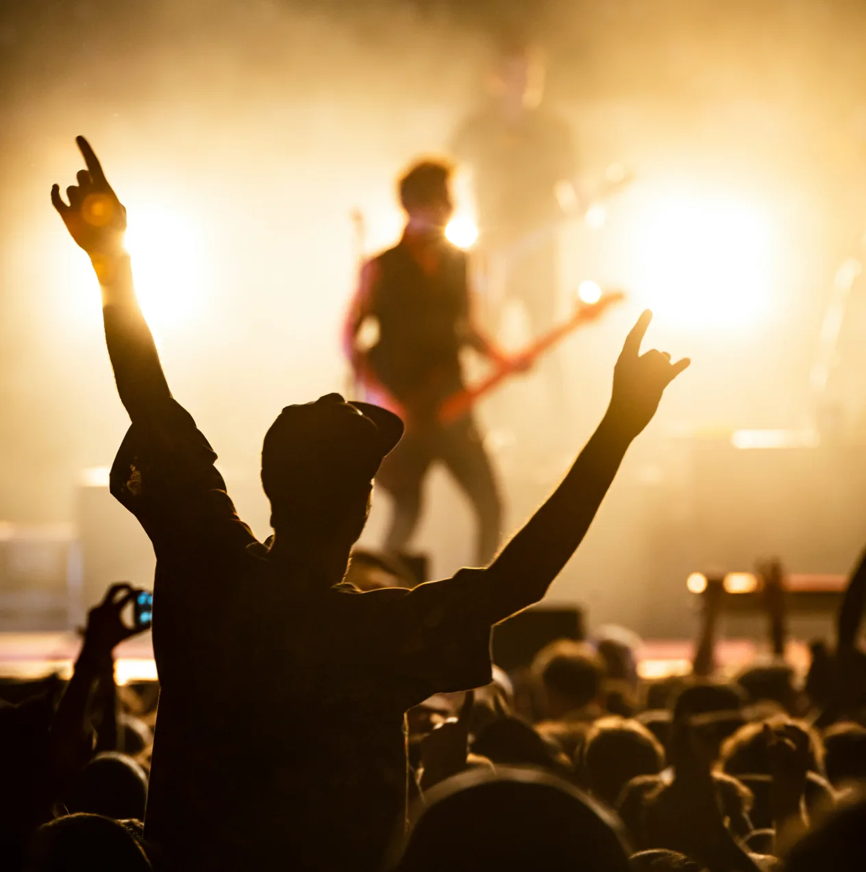 Fan with arms raised at a live event ProAlign helps secure